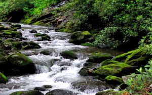 Preview wallpaper river, stones, stream, moss, bushes