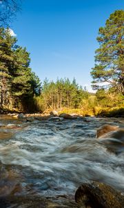 Preview wallpaper river, stones, stream, trees, spruce