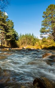 Preview wallpaper river, stones, stream, trees, spruce