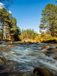 Preview wallpaper river, stones, stream, trees, spruce