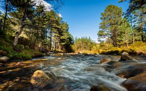 Preview wallpaper river, stones, stream, trees, spruce