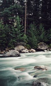 Preview wallpaper river, stones, stream, trees, spruce, forest