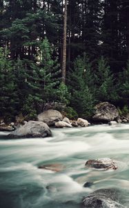 Preview wallpaper river, stones, stream, trees, spruce, forest