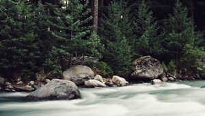 Preview wallpaper river, stones, stream, trees, spruce, forest