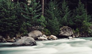 Preview wallpaper river, stones, stream, trees, spruce, forest