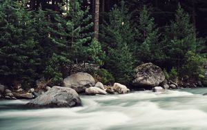 Preview wallpaper river, stones, stream, trees, spruce, forest