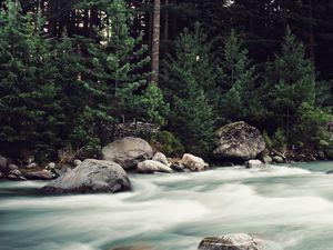 Preview wallpaper river, stones, stream, trees, spruce, forest