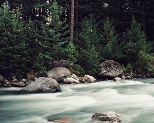 Preview wallpaper river, stones, stream, trees, spruce, forest