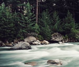 Preview wallpaper river, stones, stream, trees, spruce, forest