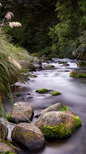 Preview wallpaper river, stones, stream, grass, moss