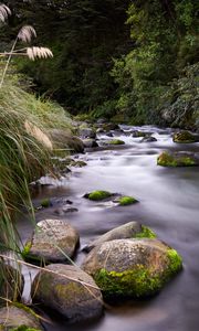 Preview wallpaper river, stones, stream, grass, moss