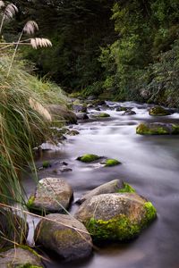 Preview wallpaper river, stones, stream, grass, moss