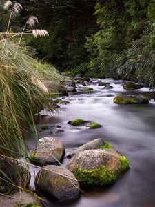 Preview wallpaper river, stones, stream, grass, moss