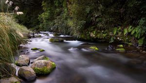 Preview wallpaper river, stones, stream, grass, moss