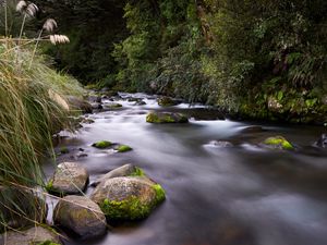 Preview wallpaper river, stones, stream, grass, moss