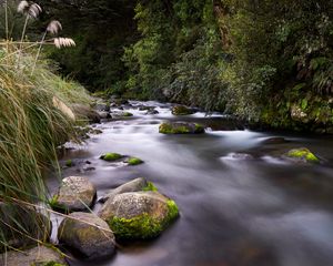 Preview wallpaper river, stones, stream, grass, moss