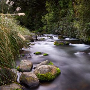 Preview wallpaper river, stones, stream, grass, moss