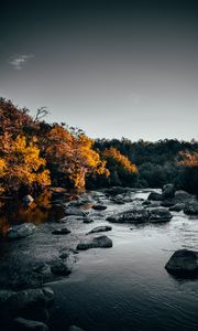 Preview wallpaper river, stones, trees, water, stream