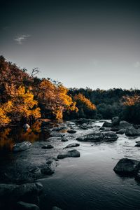 Preview wallpaper river, stones, trees, water, stream