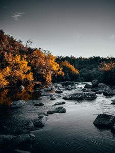 Preview wallpaper river, stones, trees, water, stream