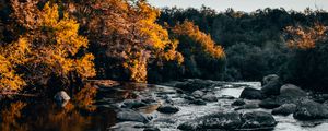 Preview wallpaper river, stones, trees, water, stream