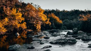 Preview wallpaper river, stones, trees, water, stream