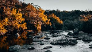 Preview wallpaper river, stones, trees, water, stream