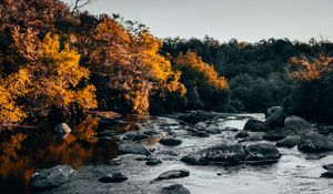 Preview wallpaper river, stones, trees, water, stream