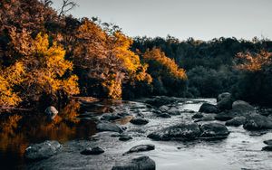 Preview wallpaper river, stones, trees, water, stream