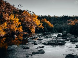 Preview wallpaper river, stones, trees, water, stream