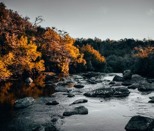 Preview wallpaper river, stones, trees, water, stream