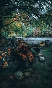 Preview wallpaper river, stones, trees, shore, water, landscape