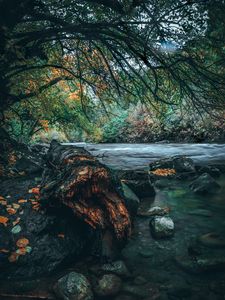 Preview wallpaper river, stones, trees, shore, water, landscape