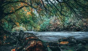 Preview wallpaper river, stones, trees, shore, water, landscape