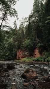 Preview wallpaper river, stones, trees, forest, branches