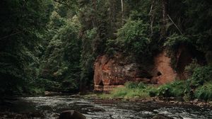 Preview wallpaper river, stones, trees, forest, branches