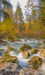 Preview wallpaper river, stones, trees, branches, stream