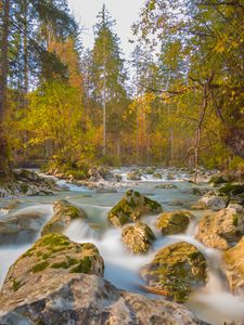 Preview wallpaper river, stones, trees, branches, stream