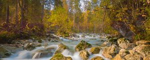 Preview wallpaper river, stones, trees, branches, stream