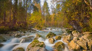 Preview wallpaper river, stones, trees, branches, stream