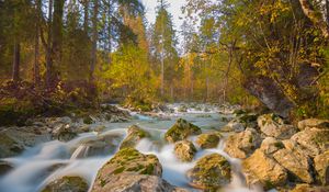 Preview wallpaper river, stones, trees, branches, stream