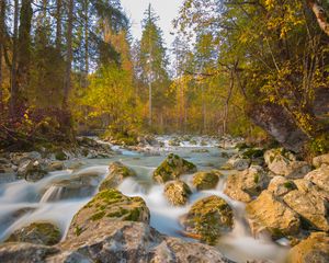 Preview wallpaper river, stones, trees, branches, stream