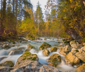 Preview wallpaper river, stones, trees, branches, stream