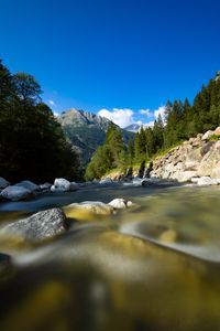 Preview wallpaper river, stones, trees, mountain, water, nature