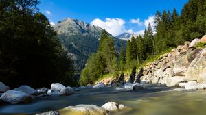 Preview wallpaper river, stones, trees, mountain, water, nature