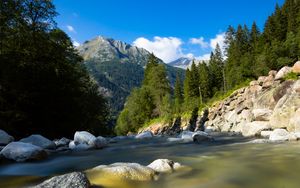 Preview wallpaper river, stones, trees, mountain, water, nature