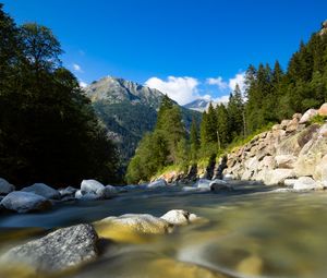 Preview wallpaper river, stones, trees, mountain, water, nature