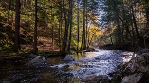 Preview wallpaper river, stones, trees, nature, landscape