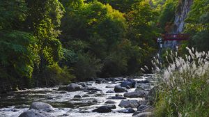 Preview wallpaper river, stones, trees, nature