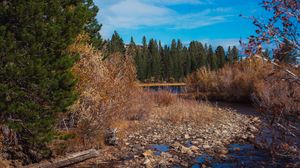 Preview wallpaper river, stones, trees, landscape, nature